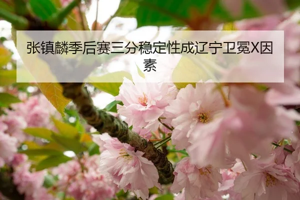 张镇麟季后赛三分稳定性成辽宁卫冕X因素