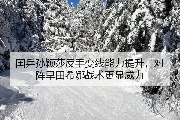 guo-ping-sun-ying-sha-fan-shou-bian-xian-neng-li-ti-sheng-dui-zhen-zao-tian-xi-na-zhan-shu-geng-xian-wei-li-2-424.jpg