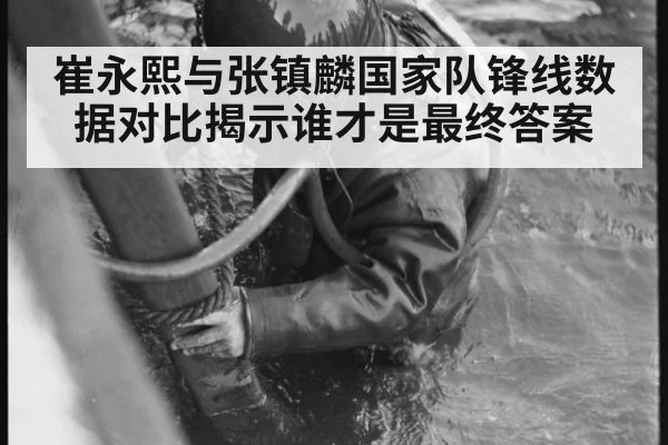 崔永熙与张镇麟国家队锋线数据对比揭示谁才是最终答案